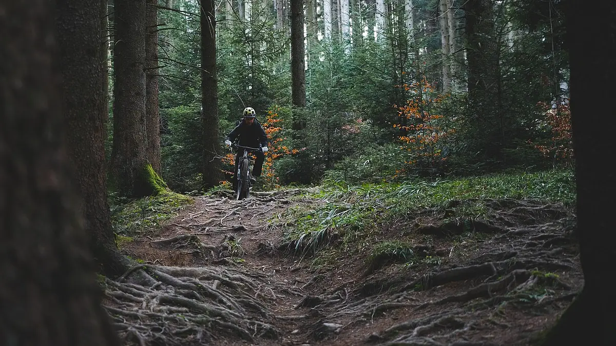 Wyposażenie rowerzysty: niezbędnik na każdą trasę